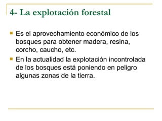 4- La explotación forestal

   Es el aprovechamiento económico de los
    bosques para obtener madera, resina,
    corcho, caucho, etc.
   En la actualidad la explotación incontrolada
    de los bosques está poniendo en peligro
    algunas zonas de la tierra.
 