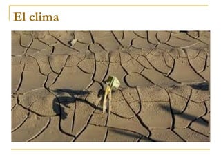 El clima
 