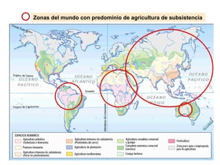 Zonas del mundo con predominio de agricultura de subsistencia
 