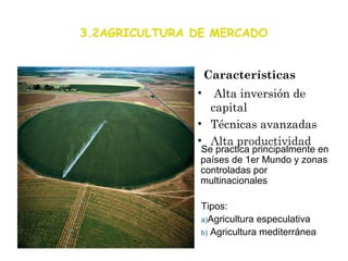 3.2AGRICULTURA DE MERCADO


                   Características
               •  Alta inversión de
                 capital
               • Técnicas avanzadas
               • Alta productividad
                Se practica principalmente en
                países de 1er Mundo y zonas
                controladas por
                multinacionales

                Tipos:
                a)Agricultura especulativa
                b) Agricultura mediterránea
 