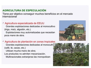 AGRICULTURA DE ESPECULACIÓN
Tiene por objetivo conseguir muchos beneficios en el mercado
internacional

   Agricultura especializada de EEUU
     Grandes explotaciones dedicadas al monocultivo
    (trigo, maíz, algodón, etc.)
     Explotaciones muy automatizadas que necesitan
    poca mano de obra.

   Agricultura de plantación en zonas tropicales
     Grandes explotaciones dedicadas al monocultivo
    (café, té, cacao, etc.)
     Utilizan mucha mano de obra.
    Los productos no admiten mecanización.
     Multinacionales extranjeras las monopolizan
 