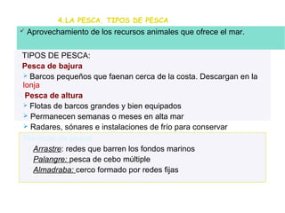 4.LA PESCA. TIPOS DE PESCA
   Aprovechamiento de los recursos animales que ofrece el mar.

TIPOS  DE PESCA:
Pesca de bajura
  Barcos pequeños que faenan cerca de la costa. Descargan en la
 lonja
 Pesca de altura
  Flotas de barcos grandes y bien equipados
  Permanecen semanas o meses en alta mar
  Radares, sónares e instalaciones de frío para conservar

 Técnicas de pesca
   Arrastre: redes que barren los fondos marinos
   Palangre: pesca de cebo múltiple
   Almadraba: cerco formado por redes fijas
 