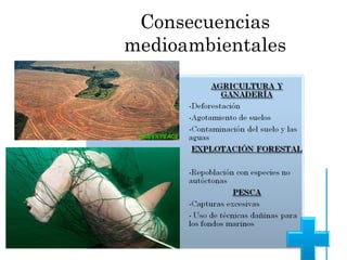 Consecuencias
medioambientales
 