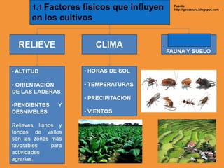 1.1 Factores físicos que influyen   Fuente:
                                    http://geoastura.blogspot.com


en los cultivos
 