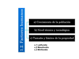c.1 Latifundio
c.2 Mesofundio
c.3 Minifundio
 