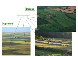 Bocage


            Parcelas


Openfield
 