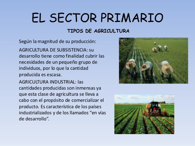 El sector primario