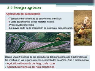 Agricultura de subsistencia
 Técnicas y herramientas de cultivo muy primitivas.
 Fuerte dependencia de los factores físicos.
 Productividad muy baja
 La mayor parte de la producción se destina al autoconsumo.
Ocupa unas 2/4 partes de los agricultores del mundo (más de 1.000 millones)
Se practica en las regiones menos desarrolladas de África, Asia e Iberoamérica
 Agricultura itinerante de fuego o de rozas
 Agricultura intensiva del Asia monzónica.
3.2 Paisajes agrícolas
 