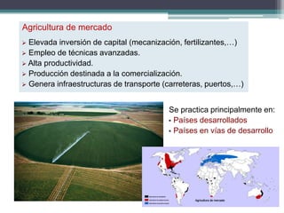 Se practica principalmente en:
 Países desarrollados
 Países en vías de desarrollo
Agricultura de mercado
 Elevada inversión de capital (mecanización, fertilizantes,…)
 Empleo de técnicas avanzadas.
 Alta productividad.
 Producción destinada a la comercialización.
 Genera infraestructuras de transporte (carreteras, puertos,…)
 