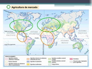 Agricultura de mercado
 