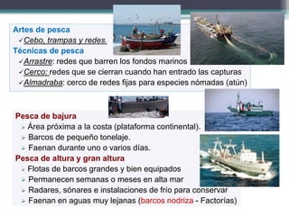 7.LA ACTIVIDAD PESQUERA
 Aprovechamiento de los recursos animales que ofrece el mar.
 Emplea instrumentos llamados artes y técnicas (formas de utilizarlas).
Según dónde se pesca
 Pesca litoral, costera o de bajura.
 Pesca de altura.
 Pesca de gran altura.
Dependiendo de la profundidad
 Pesca de superficie o pesca de fondo.
Según la movilidad de las artes
 Artes móviles o artes fijas.
 