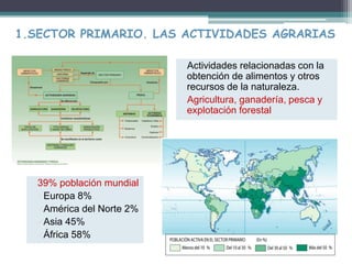1.SECTOR PRIMARIO. LAS ACTIVIDADES AGRARIAS
39% población mundial
Europa 8%
América del Norte 2%
Asia 45%
África 58%
Actividades relacionadas con la
obtención de alimentos y otros
recursos de la naturaleza.
Agricultura, ganadería, pesca y
explotación forestal
 