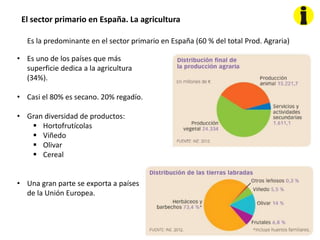 El sector primario en España. La agricultura
Es la predominante en el sector primario en España (60 % del total Prod. Agraria)
• Es uno de los países que más
superficie dedica a la agricultura
(34%).
• Casi el 80% es secano. 20% regadío.
• Gran diversidad de productos:
 Hortofrutícolas
 Viñedo
 Olivar
 Cereal
• Una gran parte se exporta a países
de la Unión Europea.
 