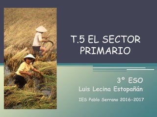 T.5 EL SECTOR
PRIMARIO
3º ESO
IES Pablo Serrano 2016-2017
Luis Lecina Estopañán
 