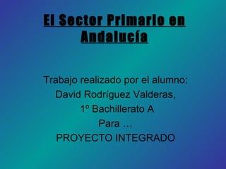 El Sector Primario en Andalucía Trabajo realizado por el alumno: David Rodríguez Valderas, 1º Bachillerato A Para … PROYECTO INTEGRADO 