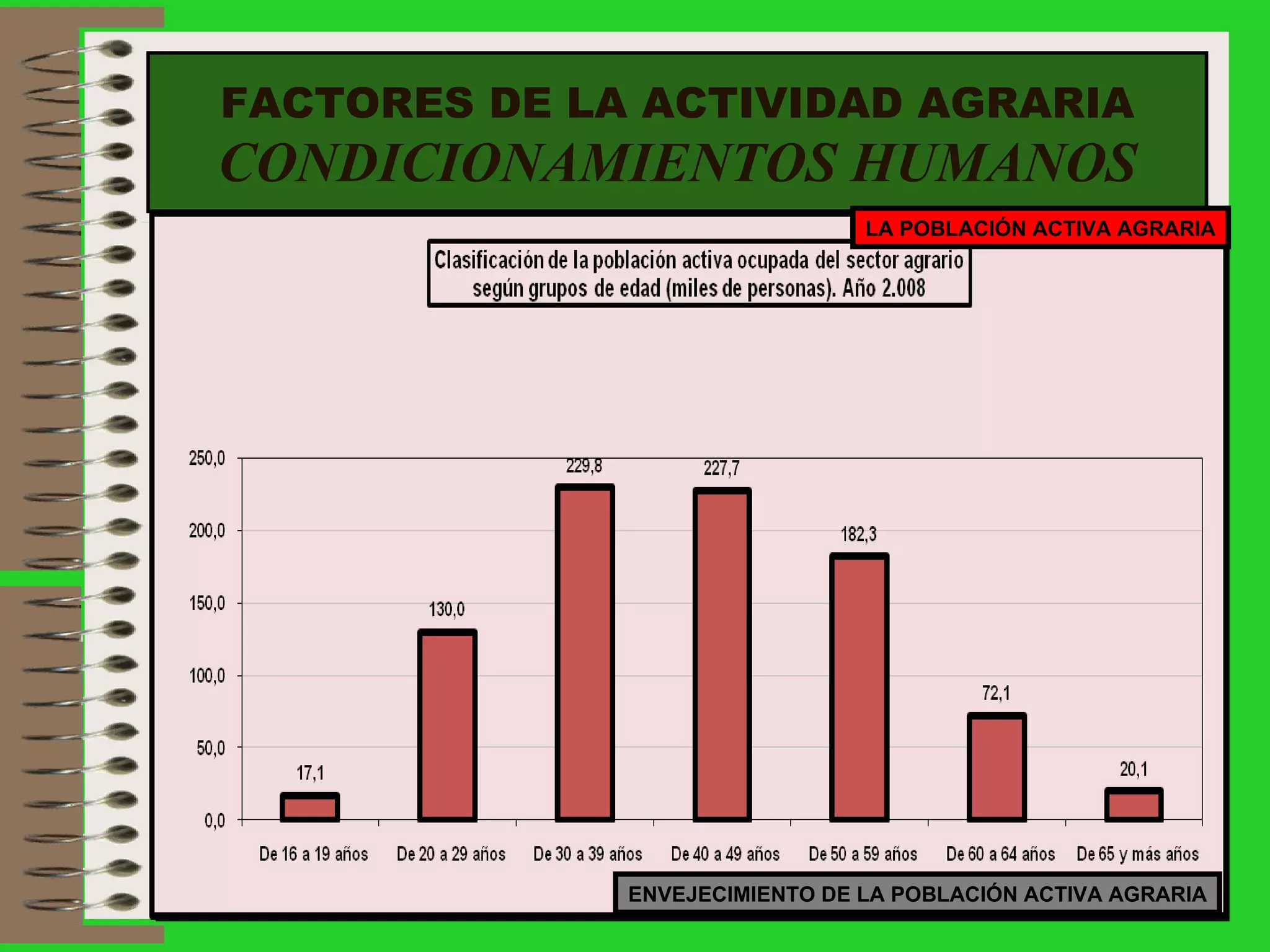 FACTORES DE LA ACTIVIDAD AGRARIA CONDICIONAMIENTOS HUMANOS LA POBLACIÓN ACTIVA AGRARIA ENVEJECIMIENTO DE LA POBLACIÓN ACTIVA AGRARIA 