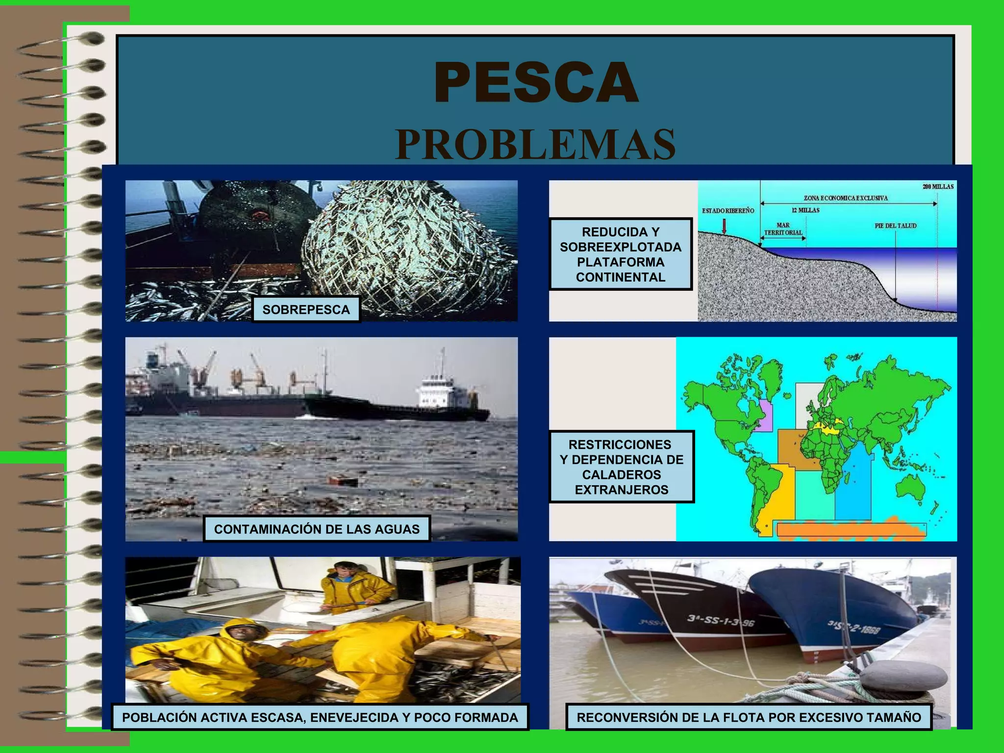 PESCA PROBLEMAS SOBREPESCA RESTRICCIONES  Y DEPENDENCIA DE CALADEROS  EXTRANJEROS REDUCIDA Y SOBREEXPLOTADA PLATAFORMA CONTINENTAL CONTAMINACIÓN DE LAS AGUAS POBLACIÓN ACTIVA ESCASA, ENEVEJECIDA Y POCO FORMADA RECONVERSIÓN DE LA FLOTA POR EXCESIVO TAMAÑO 