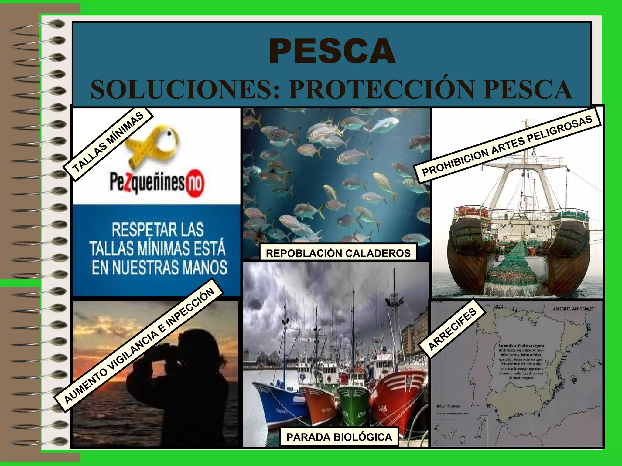 PESCA SOLUCIONES: PROTECCIÓN PESCA REPOBLACIÓN CALADEROS TALLAS MÍNIMAS PARADA BIOLÓGICA AUMENTO VIGILANCIA E INPECCIÓN PROHIBICION ARTES PELIGROSAS ARRECIFES 