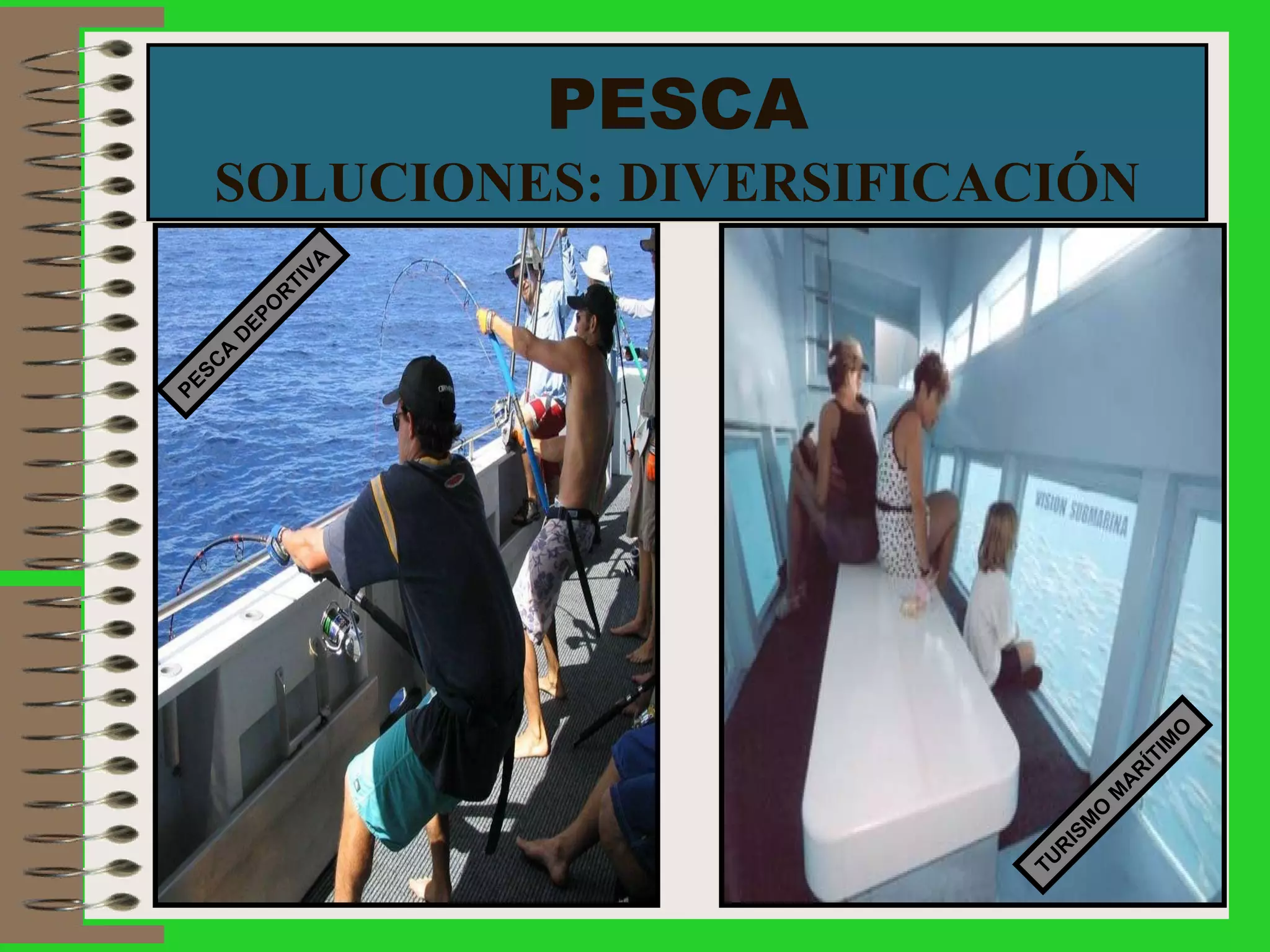 PESCA SOLUCIONES: DIVERSIFICACIÓN PESCA DEPORTIVA TURISMO MARÍTIMO 