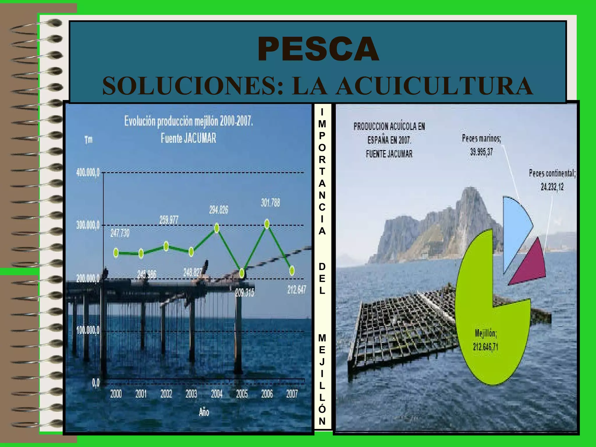 PESCA SOLUCIONES: LA ACUICULTURA I M P O R T A N C I A D E L M E J I L L Ó N 