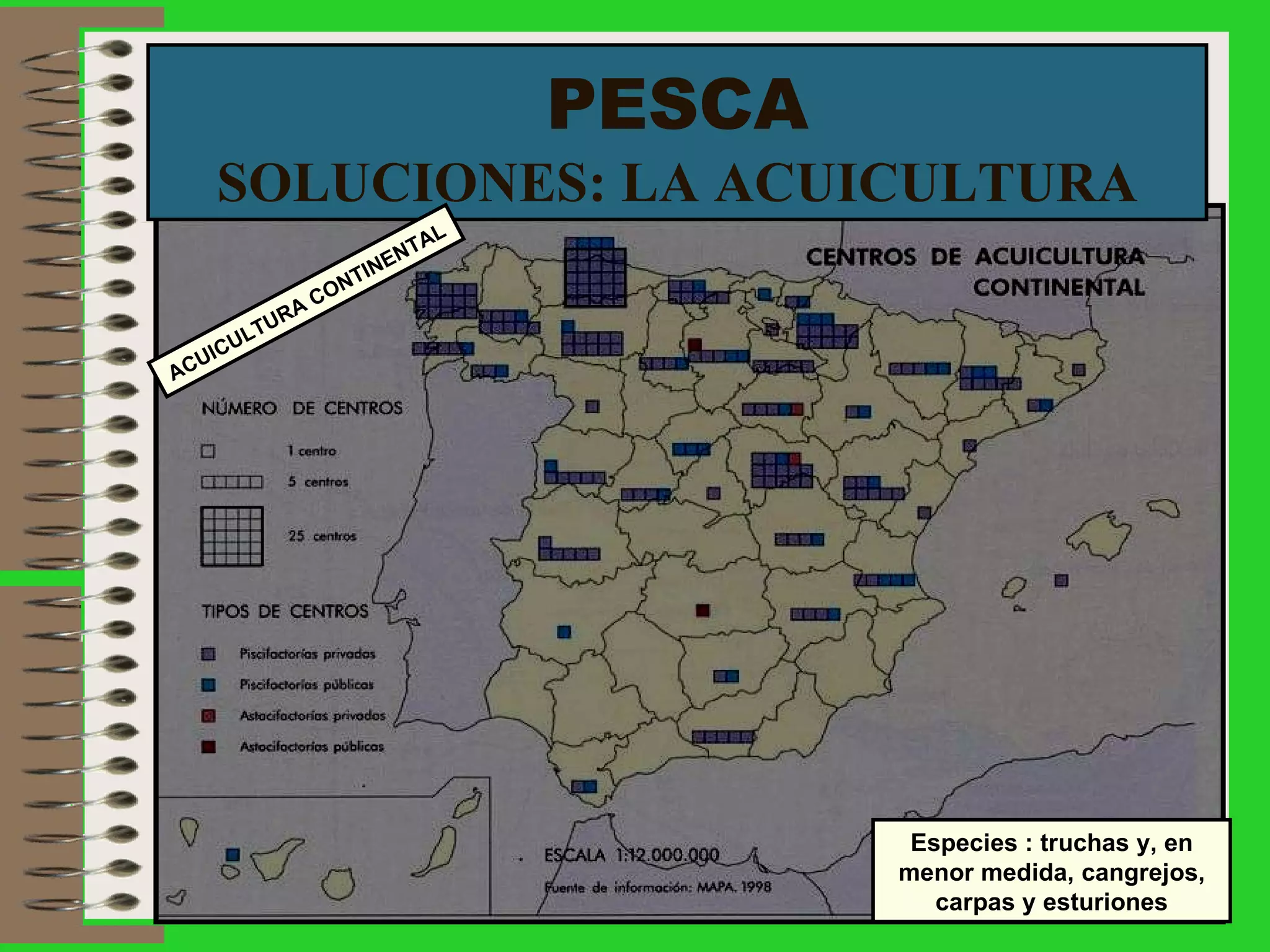 PESCA SOLUCIONES: LA ACUICULTURA Especies : truchas y, en menor medida, cangrejos, carpas y esturiones ACUICULTURA CONTINENTAL 
