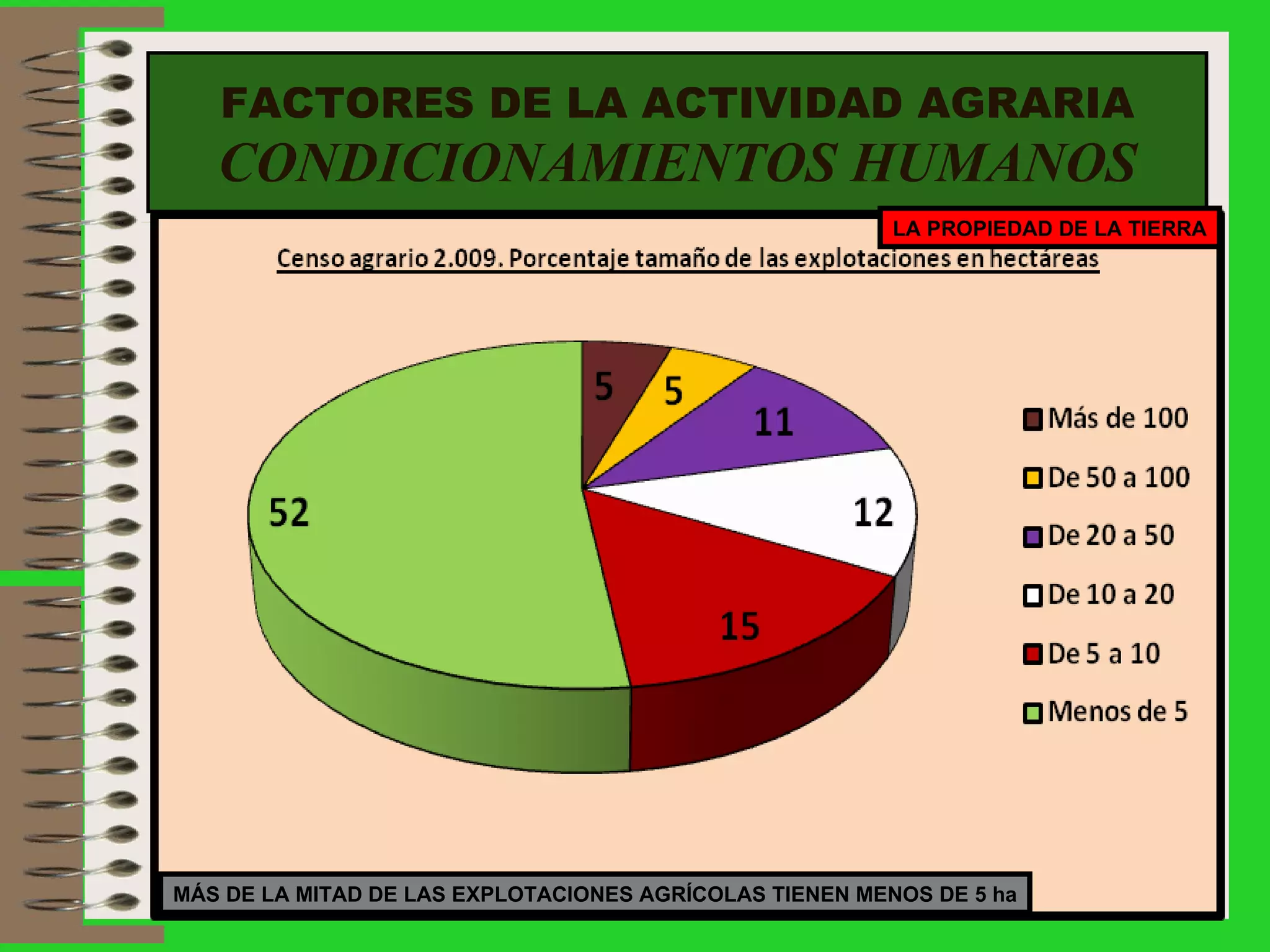 FACTORES DE LA ACTIVIDAD AGRARIA CONDICIONAMIENTOS HUMANOS MÁS DE LA MITAD DE LAS EXPLOTACIONES AGRÍCOLAS TIENEN MENOS DE 5 ha LA PROPIEDAD DE LA TIERRA 