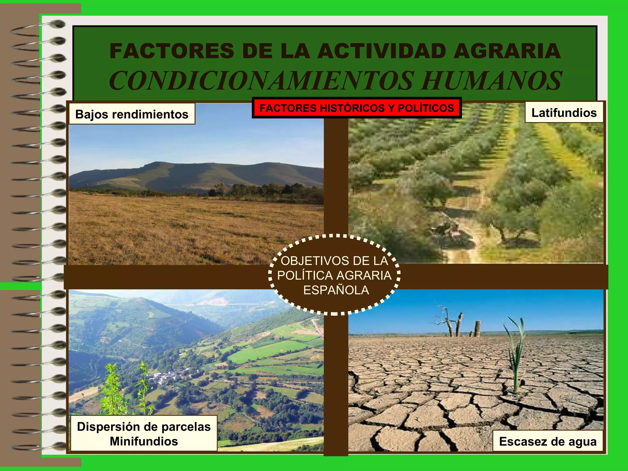 FACTORES DE LA ACTIVIDAD AGRARIA CONDICIONAMIENTOS HUMANOS Escasez de agua Bajos rendimientos Latifundios Dispersión de parcelas Minifundios OBJETIVOS DE LA POLÍTICA AGRARIA ESPAÑOLA FACTORES HISTÓRICOS Y POLÍTICOS 