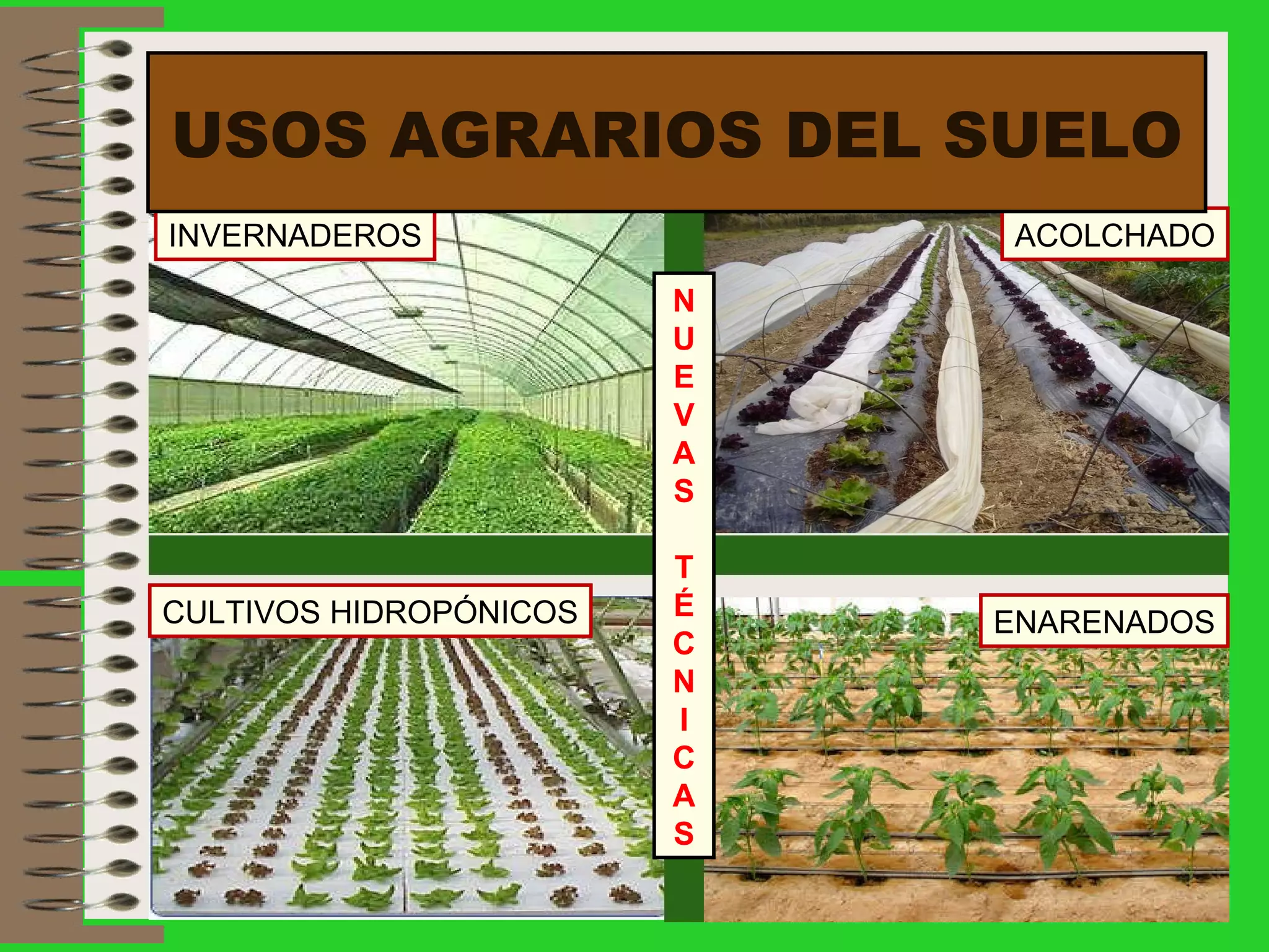 USOS AGRARIOS DEL SUELO CULTIVOS HIDROPÓNICOS INVERNADEROS ENARENADOS ACOLCHADO N U E V A S T É C N I C A S 
