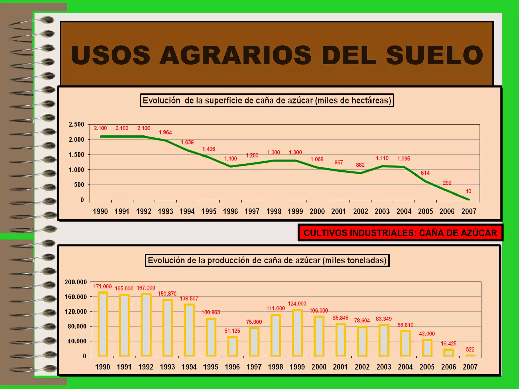 USOS AGRARIOS DEL SUELO CULTIVOS INDUSTRIALES: CAÑA DE AZÚCAR 