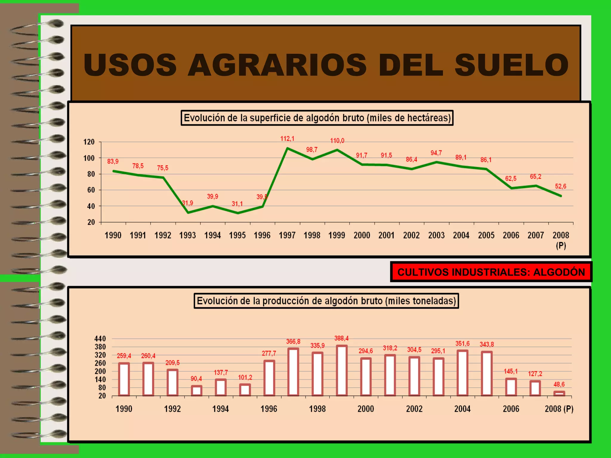 USOS AGRARIOS DEL SUELO CULTIVOS INDUSTRIALES: ALGODÓN 