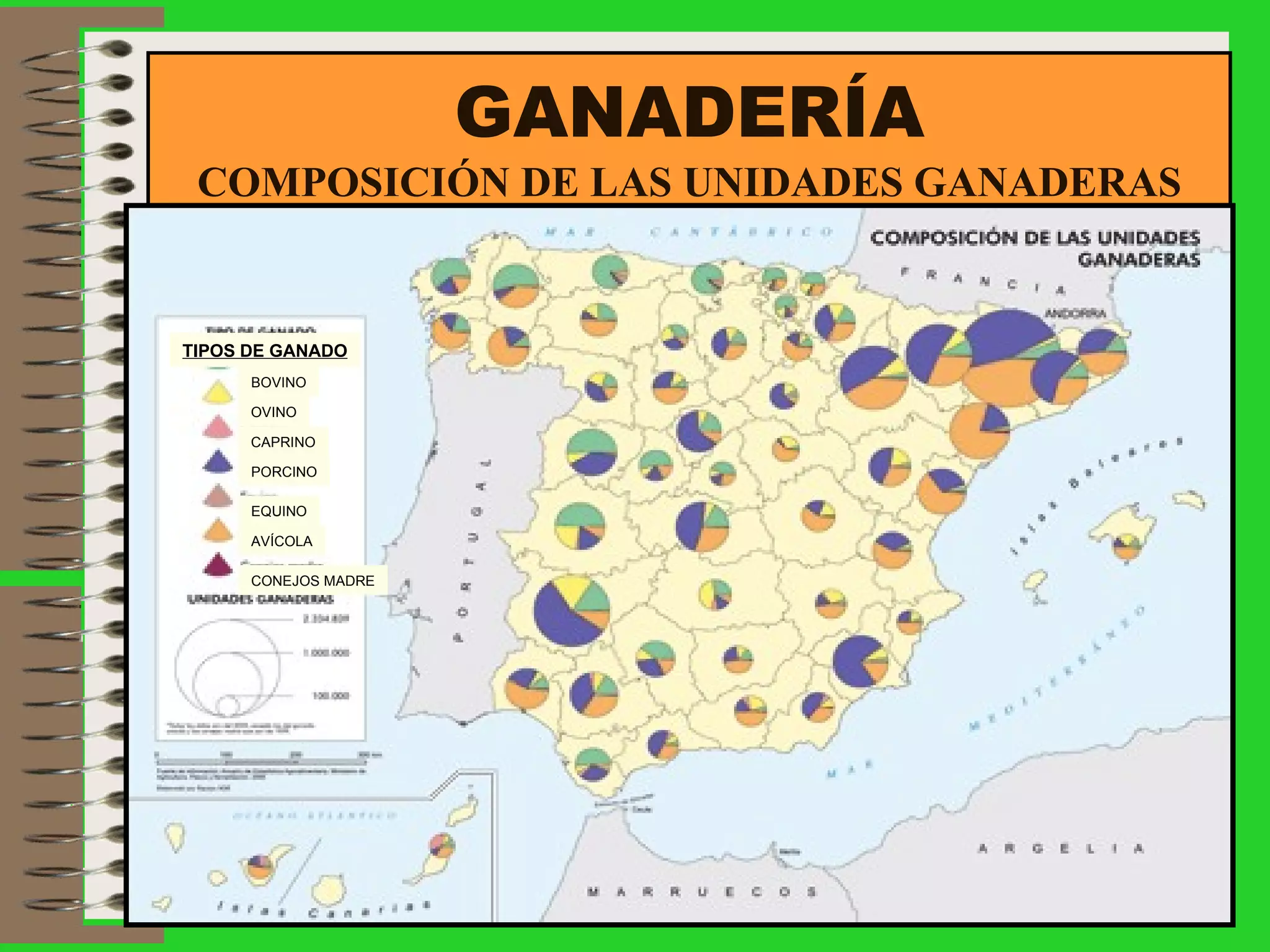 GANADERÍA COMPOSICIÓN DE LAS UNIDADES GANADERAS BOVINO OVINO CAPRINO PORCINO EQUINO AVÍCOLA CONEJOS MADRE TIPOS DE GANADO 