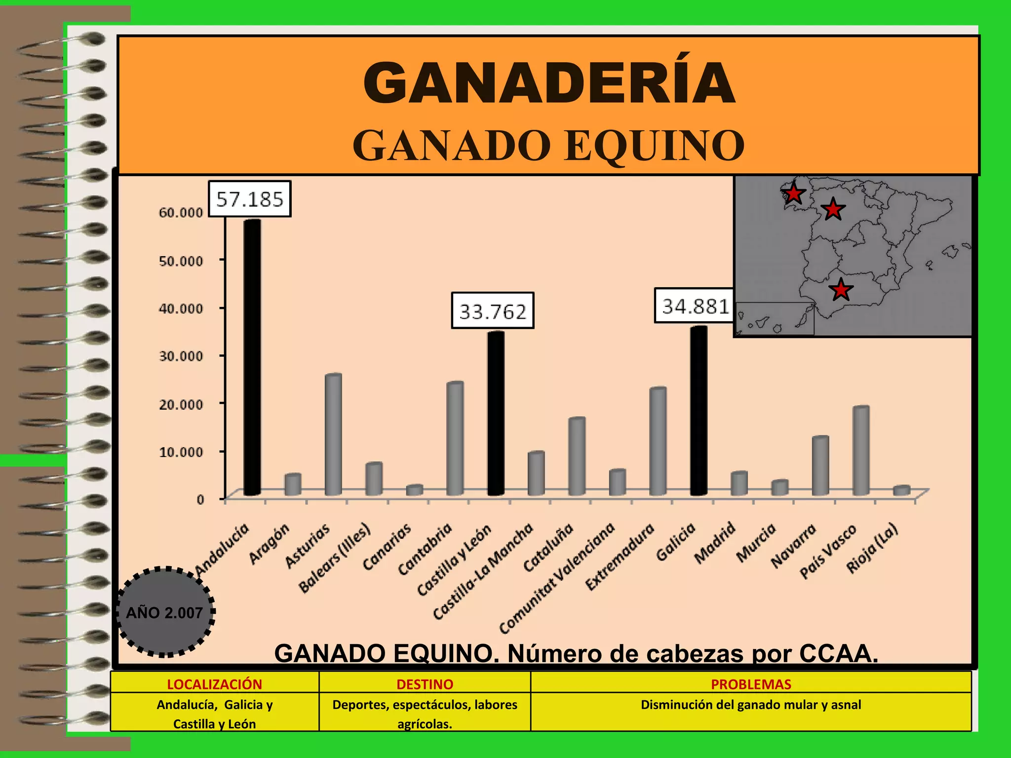 GANADERÍA GANADO EQUINO GANADO EQUINO. Número de cabezas por CCAA. AÑO 2.007 LOCALIZACIÓN DESTINO PROBLEMAS Andalucía,  Galicia y Castilla y León Deportes, espectáculos, labores agrícolas. Disminución del ganado mular y asnal 