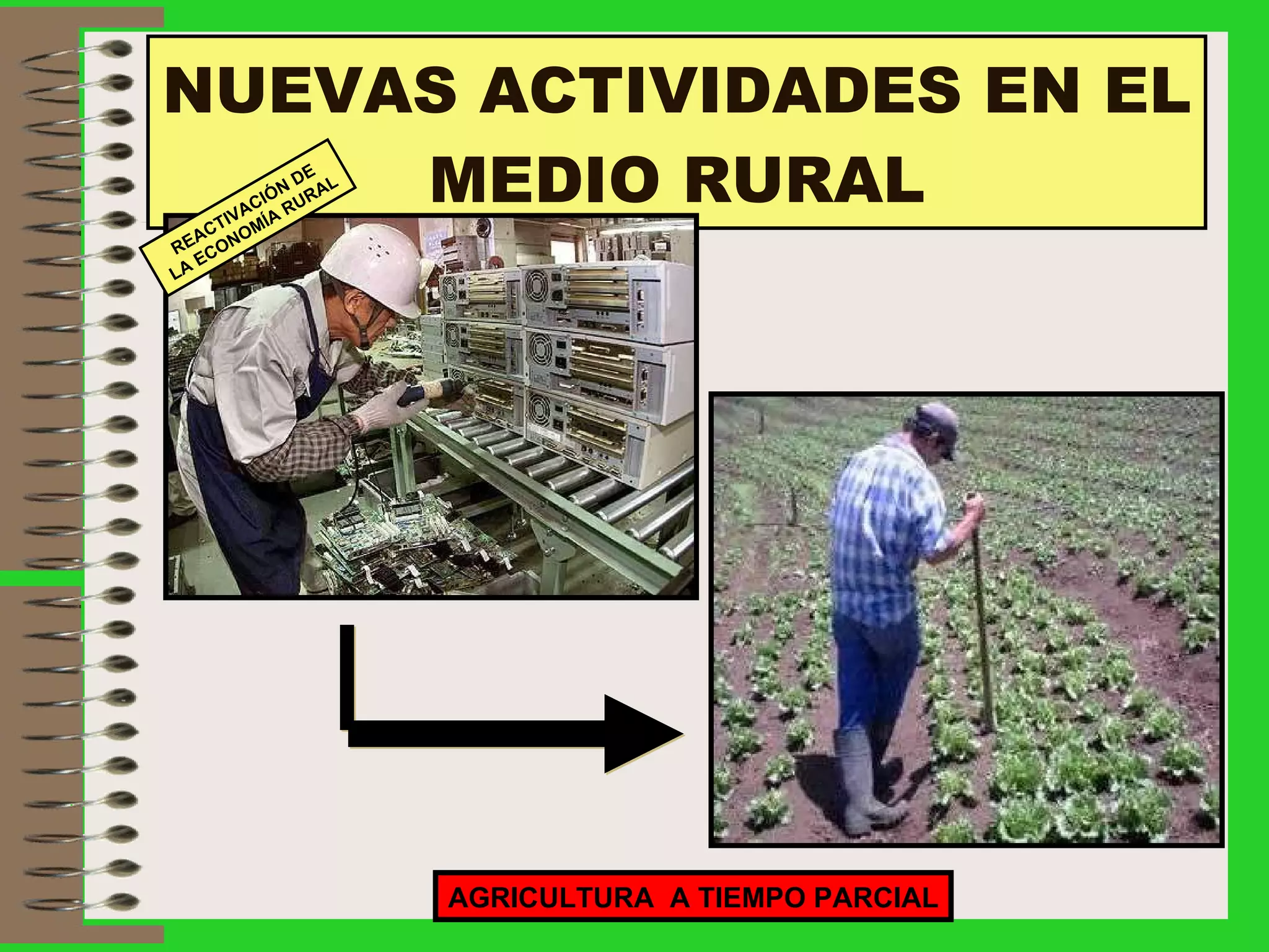 NUEVAS ACTIVIDADES EN EL MEDIO RURAL AGRICULTURA  A TIEMPO PARCIAL REACTIVACIÓN DE LA ECONOMÍA RURAL 