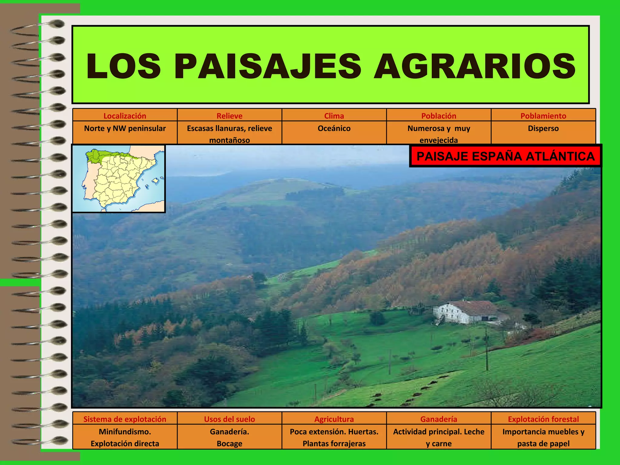 LOS PAISAJES AGRARIOS PAISAJE ESPAÑA ATLÁNTICA Localización Relieve Clima Población Poblamiento Norte y NW peninsular Escasas llanuras, relieve montañoso Oceánico Numerosa y  muy envejecida Disperso Sistema de explotación Usos del suelo Agricultura Ganadería Explotación forestal Minifundismo. Explotación directa Ganadería. Bocage Poca extensión. Huertas. Plantas forrajeras Actividad principal. Leche y carne Importancia muebles y pasta de papel 