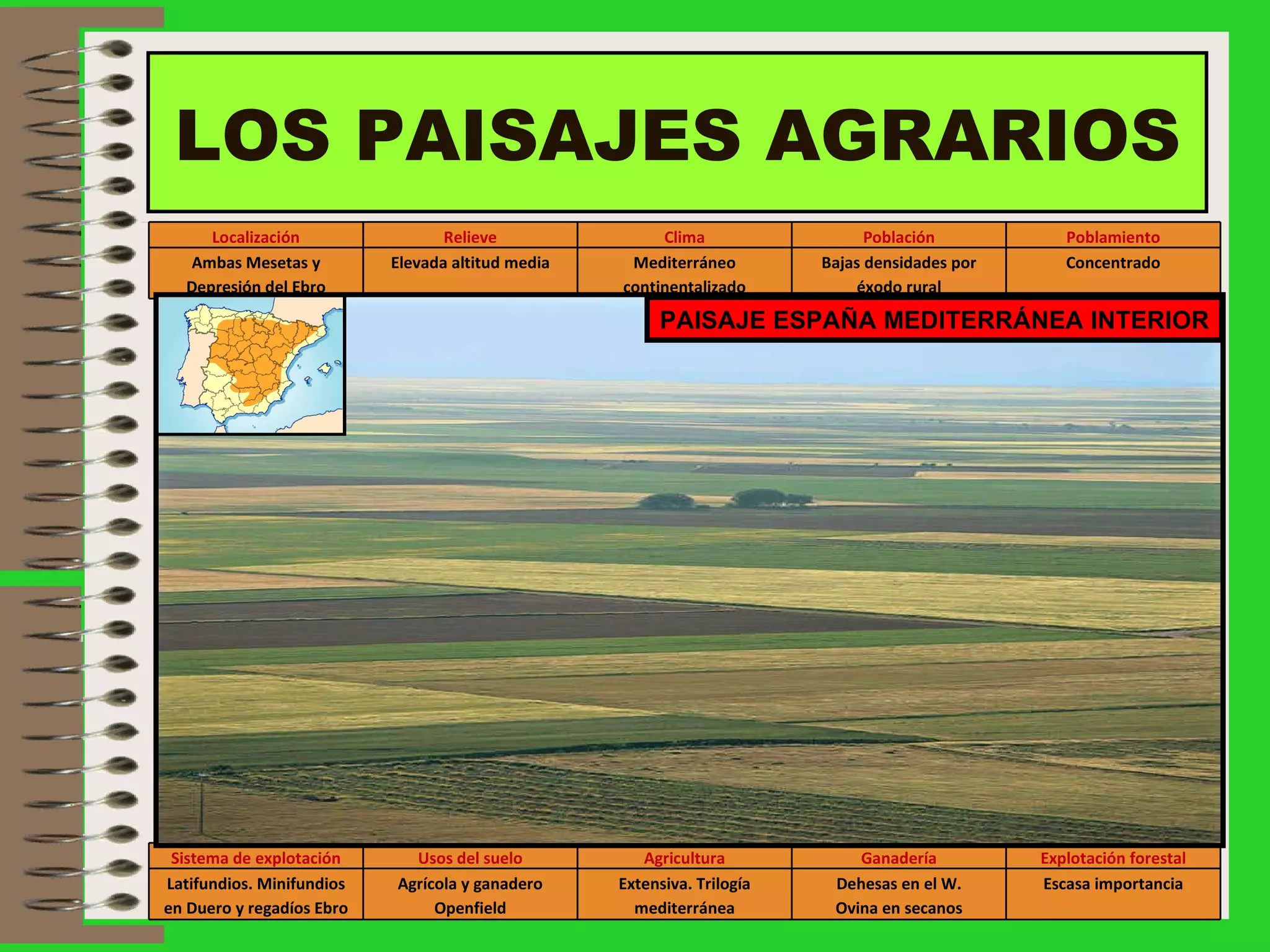 LOS PAISAJES AGRARIOS PAISAJE ESPAÑA MEDITERRÁNEA INTERIOR Localización Relieve Clima Población Poblamiento Ambas Mesetas y Depresión del Ebro Elevada altitud media Mediterráneo continentalizado Bajas densidades por éxodo rural Concentrado Sistema de explotación Usos del suelo Agricultura Ganadería Explotación forestal Latifundios. Minifundios en Duero y regadíos Ebro Agrícola y ganadero Openfield Extensiva. Trilogía mediterránea Dehesas en el W. Ovina en secanos Escasa importancia 