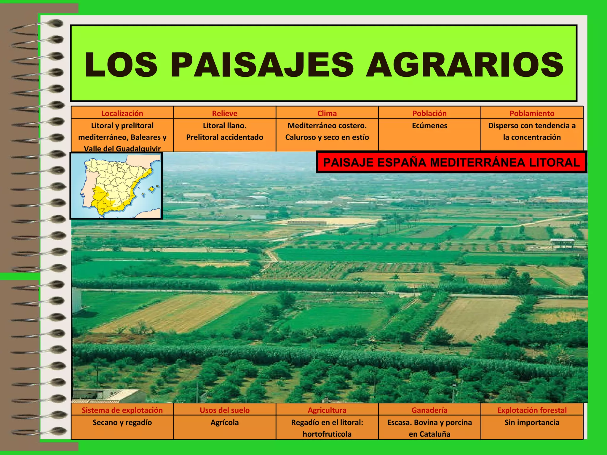 LOS PAISAJES AGRARIOS PAISAJE ESPAÑA MEDITERRÁNEA LITORAL Localización Relieve Clima Población Poblamiento Litoral y prelitoral mediterráneo, Baleares y Valle del Guadalquivir Litoral llano. Prelitoral accidentado Mediterráneo costero. Caluroso y seco en estío Ecúmenes Disperso con tendencia a la concentración Sistema de explotación Usos del suelo Agricultura Ganadería Explotación forestal Secano y regadío Agrícola Regadío en el litoral: hortofrutícola Escasa. Bovina y porcina en Cataluña Sin importancia 