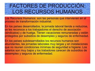 ¿Quienes son los mayores productores de leche, lana, madera, caucho y algodón? 