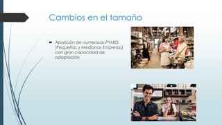 Cambios en el tamaño
 Aparición de numerosas PYMES
(Pequeñas y Medianas Empresas)
con gran capacidad de
adaptación
 