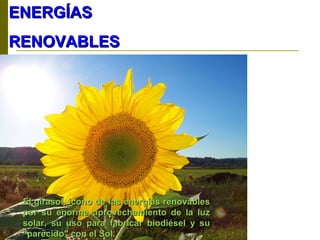 El girasol, icono de las energías renovablesEl girasol, icono de las energías renovables
por su enorme aprovechamiento de la luzpor su enorme aprovechamiento de la luz
solar, su uso para fabricar biodiésel y susolar, su uso para fabricar biodiésel y su
"parecido" con el Sol."parecido" con el Sol.
ENERGÍASENERGÍAS
RENOVABLESRENOVABLES
 