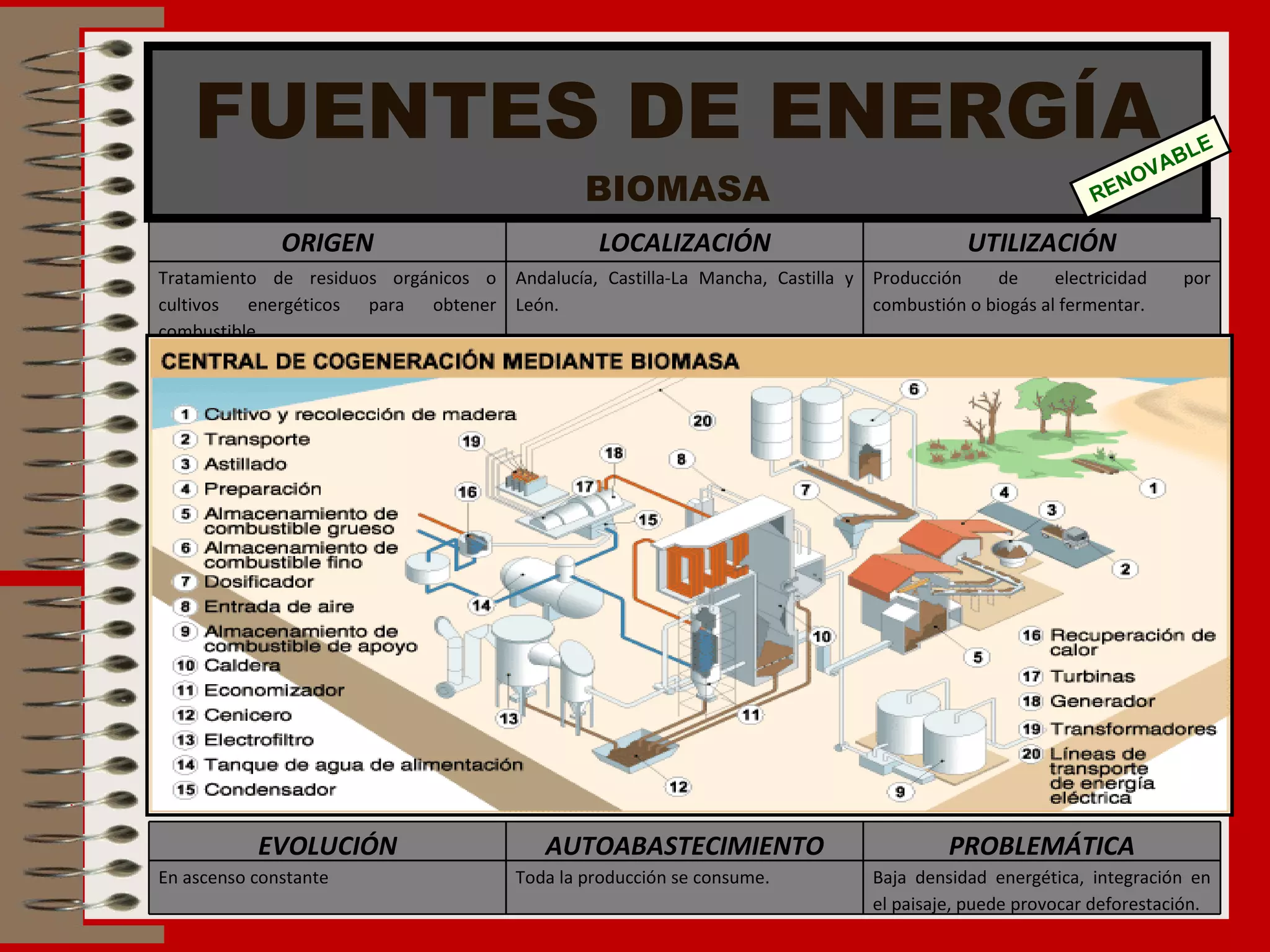 FUENTES DE ENERGÍA BIOMASA RENOVABLE ORIGEN LOCALIZACIÓN UTILIZACIÓN Tratamiento de residuos orgánicos o cultivos energéticos para obtener combustible. Andalucía, Castilla-La Mancha, Castilla y León. Producción de electricidad por combustión o biogás al fermentar. EVOLUCIÓN AUTOABASTECIMIENTO PROBLEMÁTICA En ascenso constante Toda la producción se consume. Baja densidad energética, integración en el paisaje, puede provocar deforestación. 