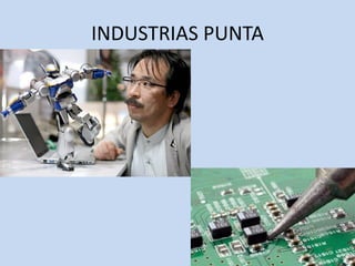 INDUSTRIAS PUNTA
 