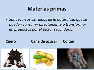 Materias primas
• Son recursos extraídos de la naturaleza que se
pueden consumir directamente o transformar
en productos por el sector secundario.
Cuero Caña de azúcar Coltán
 