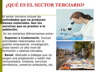 ¿QUÉ ES EL SECTOR TERCIARIO? El sector terciario incluye las  actividades que no producen bienes materiales. Son los servicios que se prestan a la población. En los extremos diferenciamos entre: -  Superior o Cuaternario : Incluye actividades relacionadas con la gestión empresarial, investigación. Estos tienen un alto nivel de formación y salarios elevados. -  Banal : dedicado a trabajos que no exigen una preparación y están mal remunerados: limpieza, servicios domésticos, comercio ambulante, etc 
