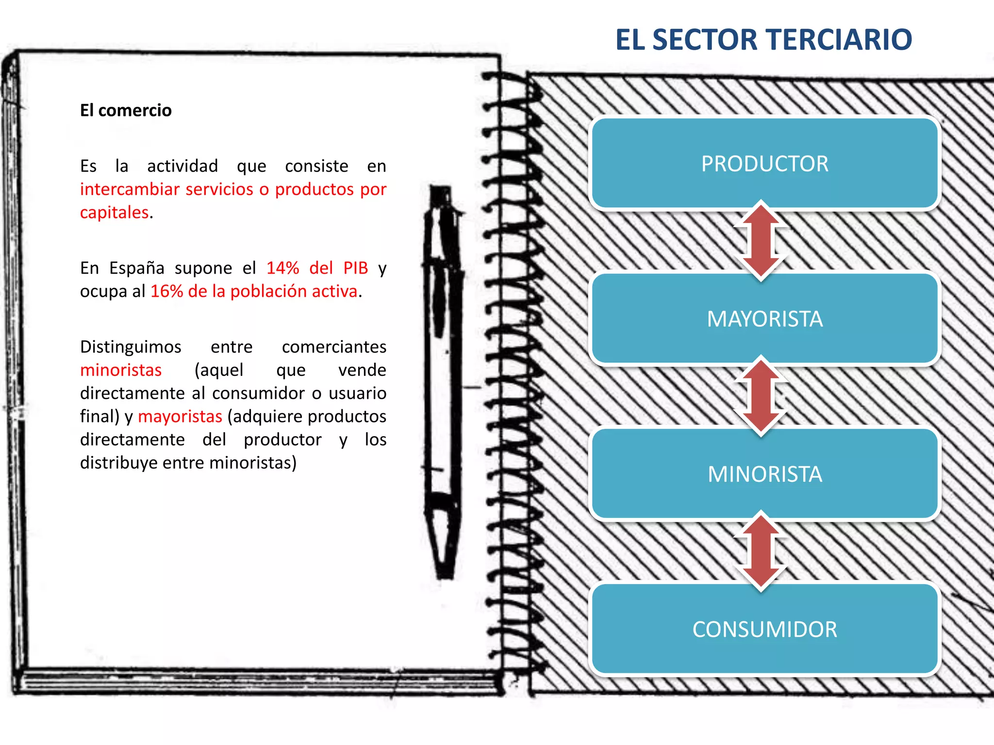 EL SECTOR TERCIARIOEl comercioEs la actividad que consiste en intercambiar servicios o productos por capitales.En España supone el 14% del PIB y ocupa al 16% de la población activa.Distinguimos entre comerciantes minoristas (aquel que vende directamente al consumidor o usuario final) y mayoristas (adquiere productos directamente del productor y los distribuye entre minoristas)PRODUCTORMAYORISTAMINORISTACONSUMIDOR