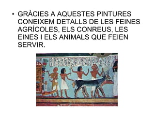 • GRÀCIES A AQUESTES PINTURES
CONEIXEM DETALLS DE LES FEINES
AGRÍCOLES, ELS CONREUS, LES
EINES I ELS ANIMALS QUE FEIEN
SERVIR.
 
