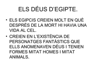 ELS DÉUS D’EGIPTE.
• ELS EGIPCIS CREIEN MOLT EN QUÈ
DESPRÉS DE LA MORT HI HAVIA UNA
VIDA AL CEL.
• CREIEN EN L’EXISTÈNCIA DE
PERSONATGES FANTÀSTICS QUE
ELLS ANOMENAVEN DÉUS I TENIEN
FORMES MITAT HOMES I MITAT
ANIMALS.
 