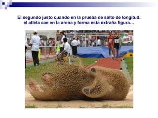 El segundo justo cuando en la prueba de salto de longitud,
el atleta cae en la arena y forma esta extraña figura…
 