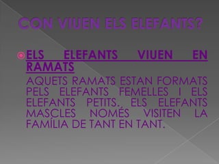 CON VIUEN ELS ELEFANTS?<br />ELS ELEFANTS VIUEN EN RAMATS<br />   AQUETS RAMATS ESTAN FORMATS PELS ELEFANTS FEMELLES I ELS...