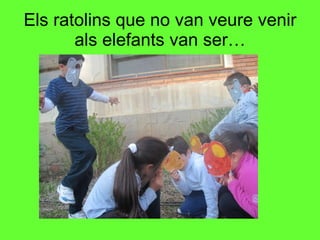 Els ratolins que no van veure venir als elefants van ser… 