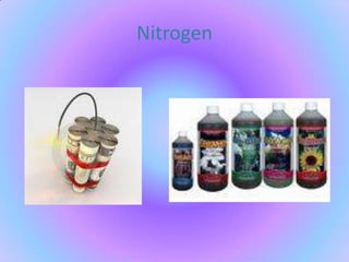 Nitrogen 